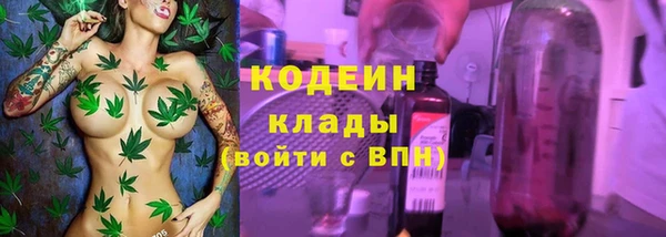 индика Тобольск