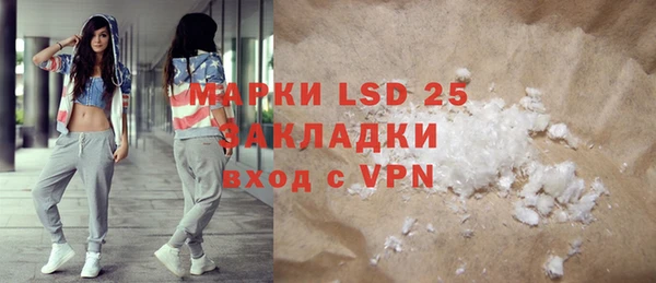 индика Тобольск