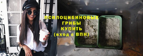 прущая мука Богданович