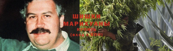 прущий лед Богородск